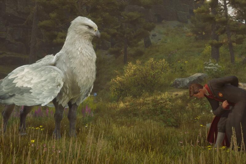 🐾 Criaturas mágicas en Hogwarts Legacy